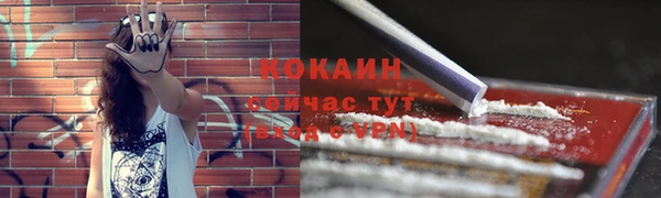 спиды Алексин