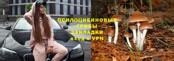 прущая мука Алзамай