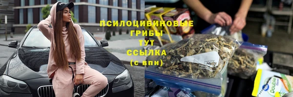 спиды Алексин