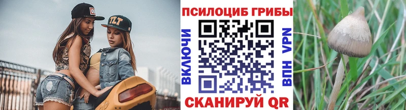 Галлюциногенные грибы Psilocybe цена Ярцево
